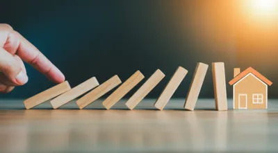 Illustration ticks - Image 1