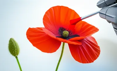 Illustration simulant - Image 1