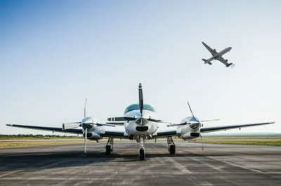 Illustration feathered - Image 1