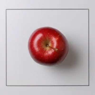 Illustration pascal - Image 1