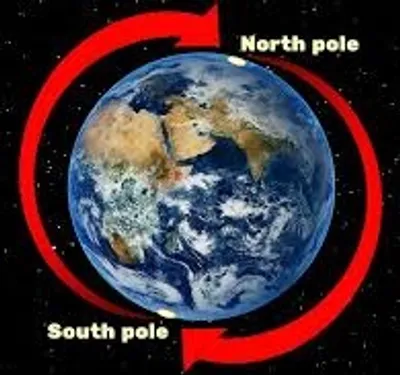 Illustration pole - Image 2