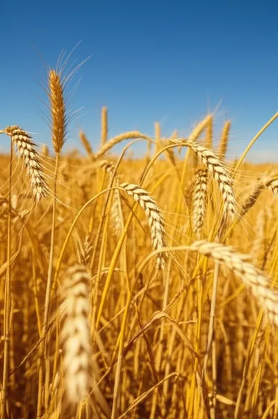 Illustration golden - Image 1