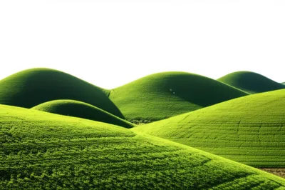 Illustration knobs - Image 1