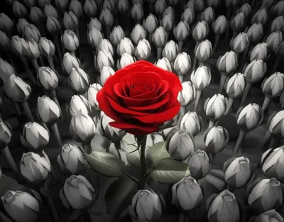 Illustration exclusive - Image 1