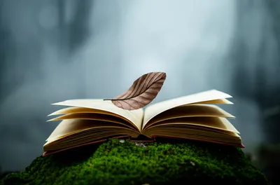 Illustration lore - Image 1