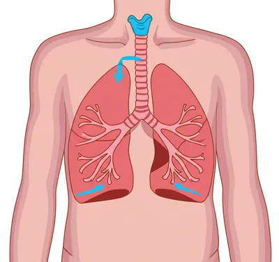 Illustration breath - Image 1