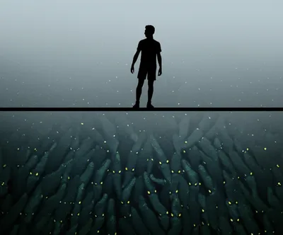 Illustration courts - Image 1