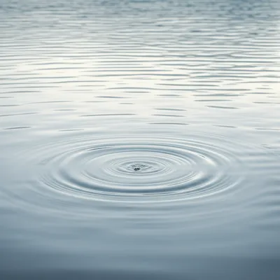 Illustration signify - Image 1