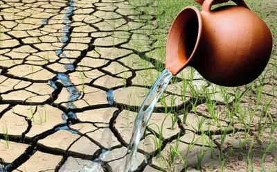 Illustration fillers - Image 1