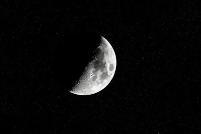 Illustration wanes - Image 1