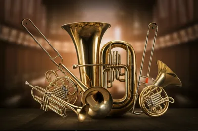 Illustration brasses - Image 1