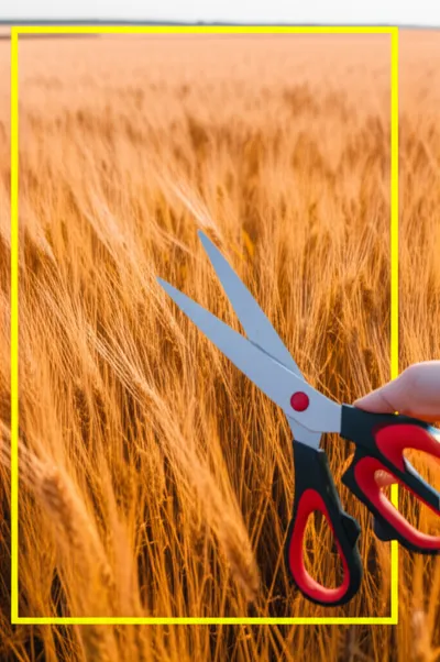 Illustration crop - Image 1