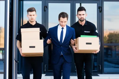 Illustration removals - Image 1