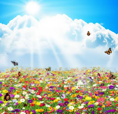 Illustration brighter - Image 1