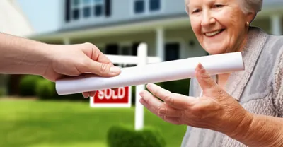 Illustration reverting - Image 1