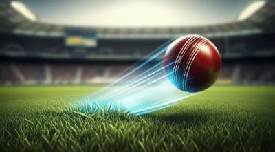 Illustration flippers - Image 1