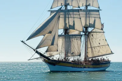 Illustration headsail - Image 1