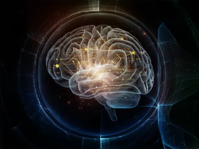 Illustration asset - Image 1