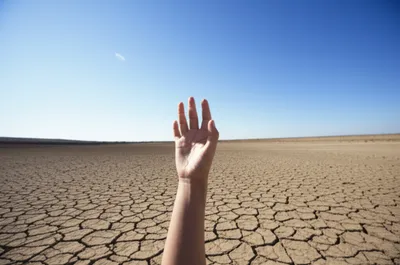 Illustration wants - Image 1