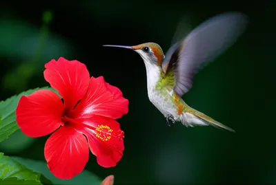 Illustration flashed - Image 1