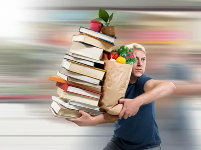 Illustration bundles - Image 1