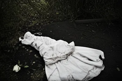 Illustration vitiate - Image 1