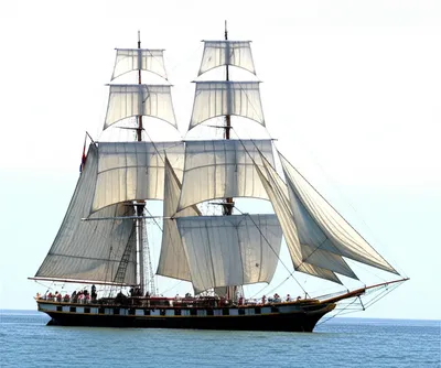 Illustration royal - Image 1