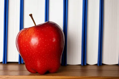 Illustration misplaced - Image 1