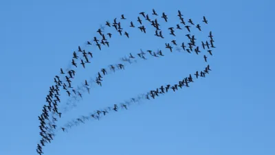 Illustration angled - Image 1