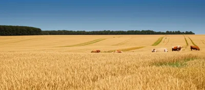 Illustration fields - Image 1