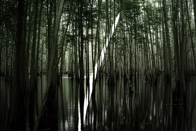 Illustration slash - Image 1