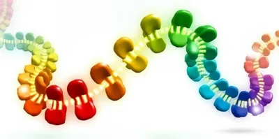 Illustration peptide - Image 1