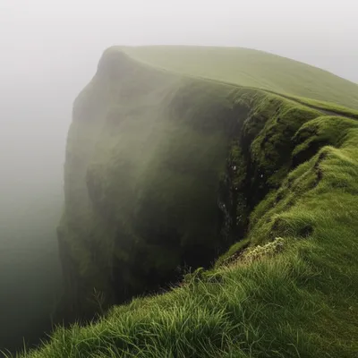 Illustration brows - Image 1