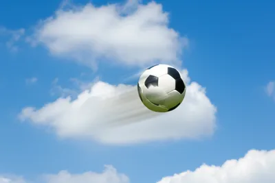 Illustration flighted - Image 1