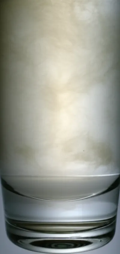 Hình ảnh minh họa clarifies - Ảnh 1