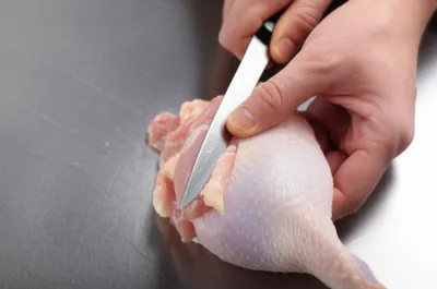 Illustration boning - Image 1