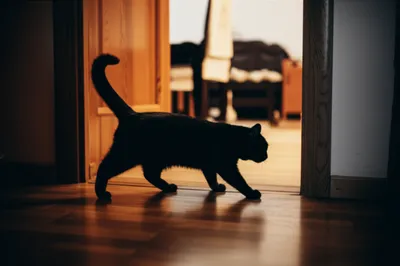 Illustration slips - Image 1