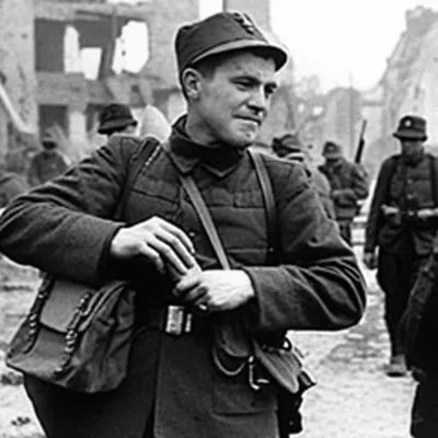 Illustration wog - Image 1