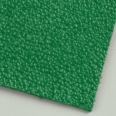 Illustration shagreen