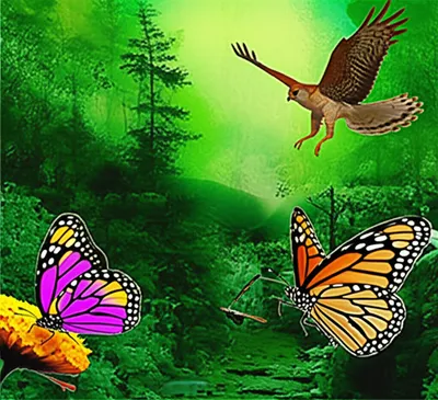 Illustration selective - Image 1