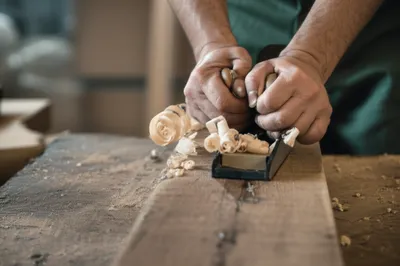 Illustration trims - Image 1