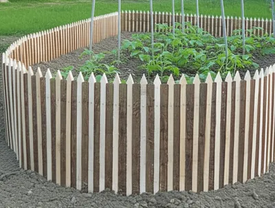 Illustration picket - Image 1