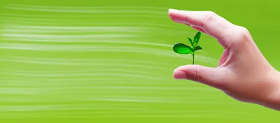 Illustration reserving