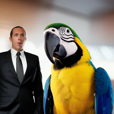 Illustration parrot - Image 1