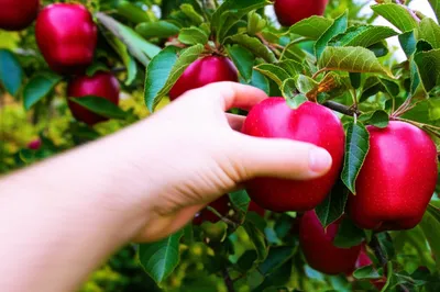 Illustration grabs - Image 1