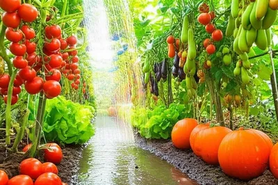 Illustration replenish - Image 1