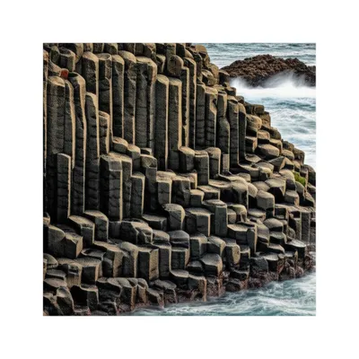 Illustration palisade - Image 1