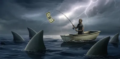 Illustration sharks - Image 1