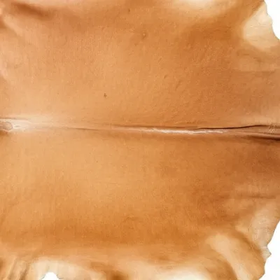 Illustration oxhide - Image 1