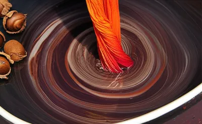 Illustration galls - Image 1